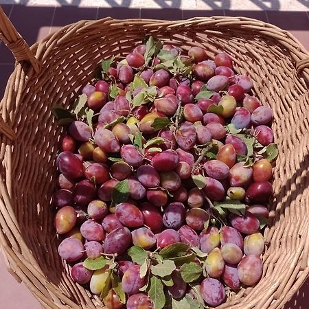 מרסיליאנה Casa Vacanze Il Pero מראה חיצוני תמונה